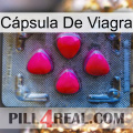 Cápsula De Viagra 13